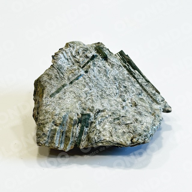 Actinolita