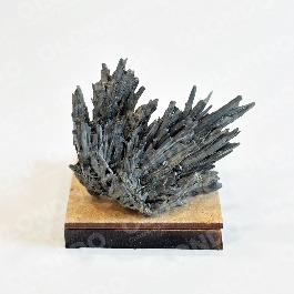 Estibina