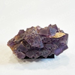 Fluorita