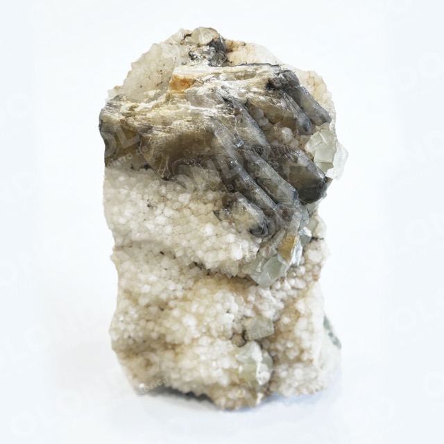 Estibina